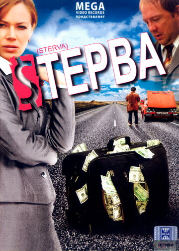 Постер к фильму Стерва (2009)