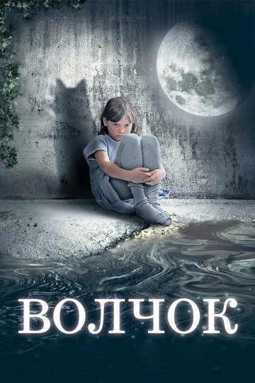 Постер к фильму Волчок (2009)