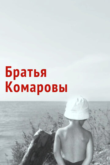 Постер к фильму Братья Комаровы (1961)