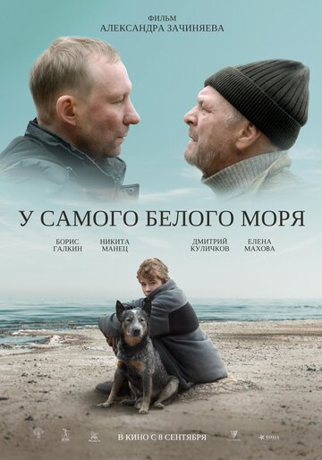 Постер к фильму У самого Белого моря (2022)