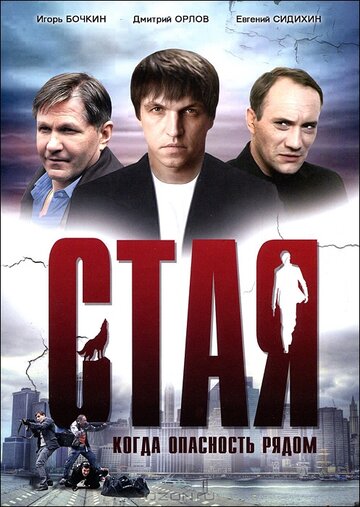Постер к сериалу Стая (2005)