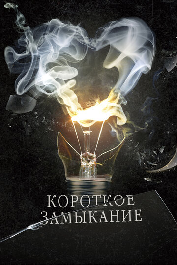 Постер к фильму Короткое замыкание (2009)