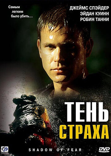 Постер к фильму Тень страха (2004)