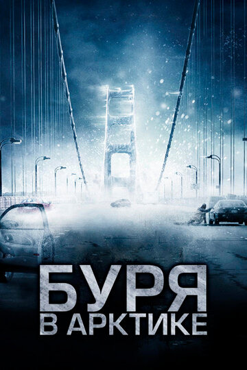 Постер к фильму Буря в Арктике (2010)