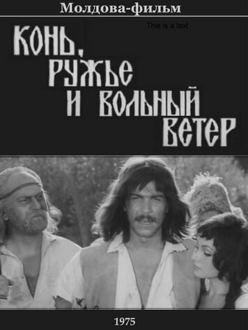 Постер к фильму Конь, ружьё и вольный ветер (1975)