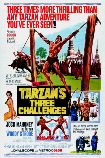Постер к фильму Три испытания Тарзана (1963)