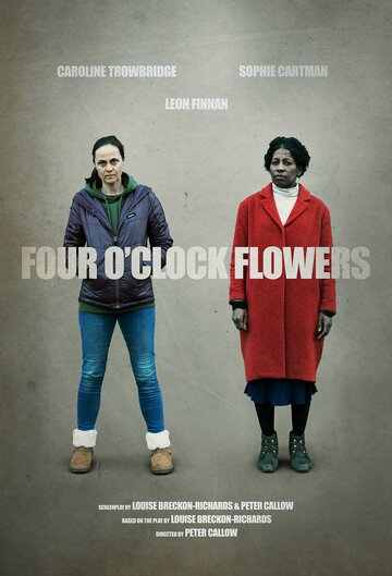 Постер к фильму Цветы на четыре часа (2022)