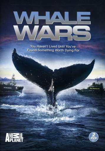 Китовые войны (сериал 2008 – ...)