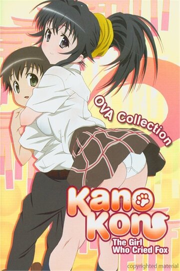 Скачать аниме Канокон OVA OVA Kanokon: Manatsu no daishanikusai - Jou