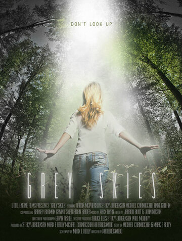 Постер к фильму Серые небеса (2010)