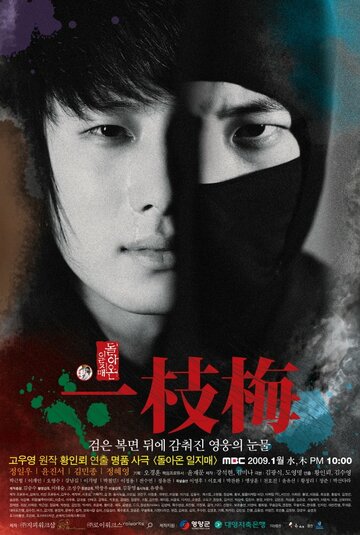 Постер к сериалу Возвращение Иль Джи-мэ (2009)