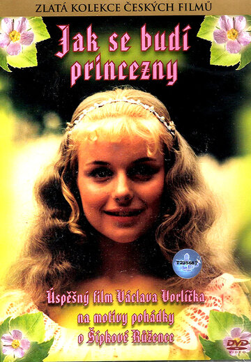 Скачать фильм Как разбудить принцессу 1978