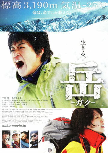 Постер к фильму Вершина: Спасатели (2011)