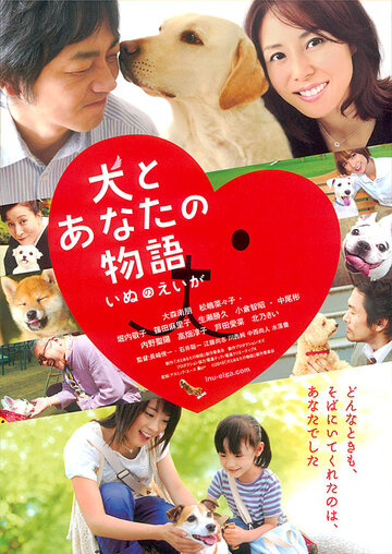 Постер к фильму Все о нашей собаке (2011)