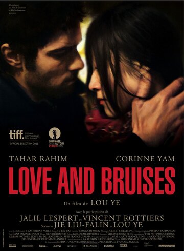 Постер к фильму Любовь и ссадины (2011)