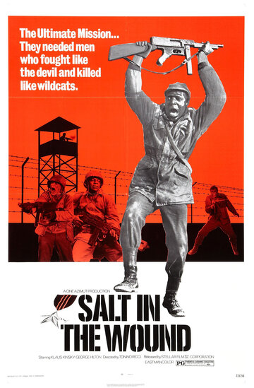 Постер к фильму Соль на рану (1969)