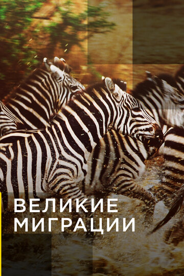 Постер к сериалу National Geographic. Великие миграции (2010)