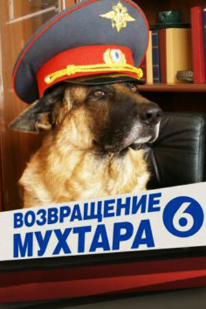Постер к сериалу Возвращение Мухтара 6 (2009)