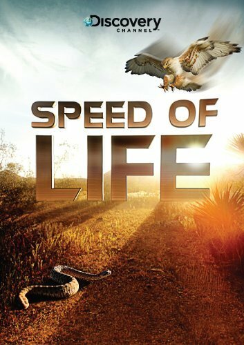 Постер к сериалу Discovery: Скорость жизни (2010)