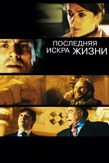 Постер к фильму Последняя искра жизни (2011)