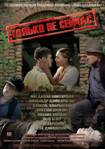 Постер к фильму Только не сейчас (2010)