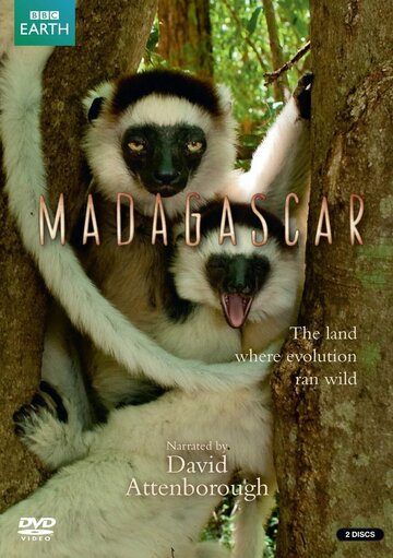 Постер к сериалу BBC: Мадагаскар (2011)