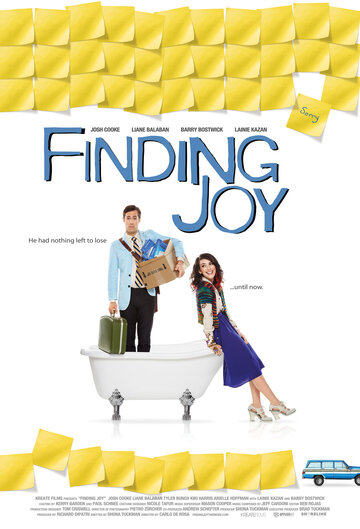 Постер к фильму В поисках радости (2013)