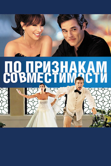 Постер к фильму По признакам совместимости (2012)