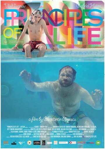 Постер к фильму Принципы жизни (2010)