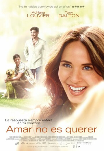 Постер к фильму Любовь не любовь (2011)
