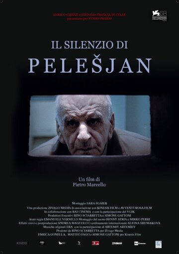 Постер к фильму Молчание Пелешяна (2011)