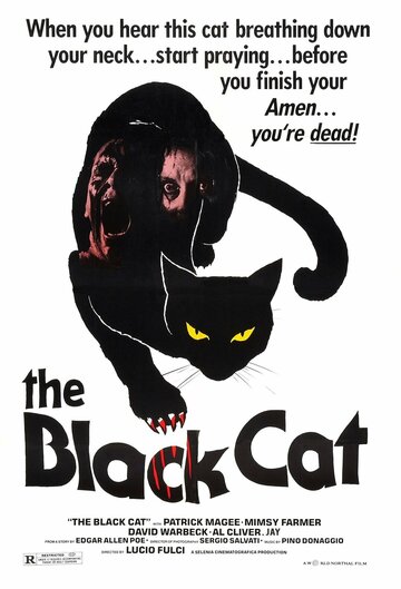 Скачать фильм Черный кот 1981