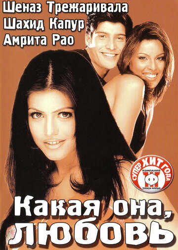 Постер к фильму Какая она, любовь (2003)