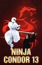 Постер к фильму Ниндзя-стервятник (1987)