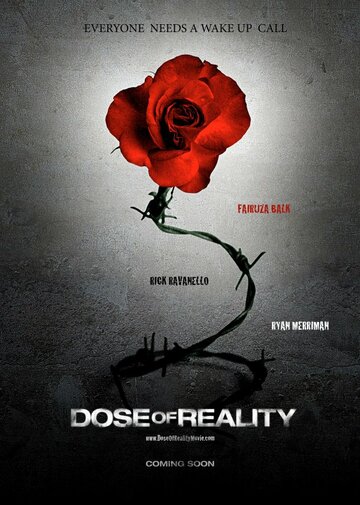 Постер к фильму Доза реальности (2013)
