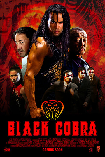 Постер к фильму Чёрная кобра (2012)