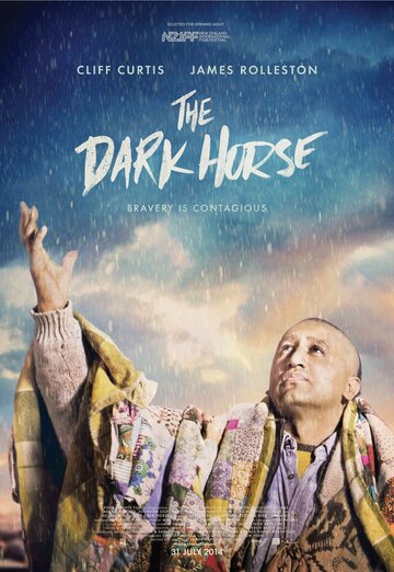 Постер к фильму Темная лошадка (2014)