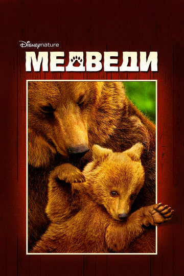 Постер к фильму Медведи (2014)