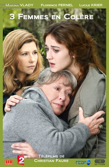 Постер к фильму Трое рассерженных женщин (2013)