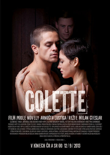 Постер к фильму Колетт (2013)