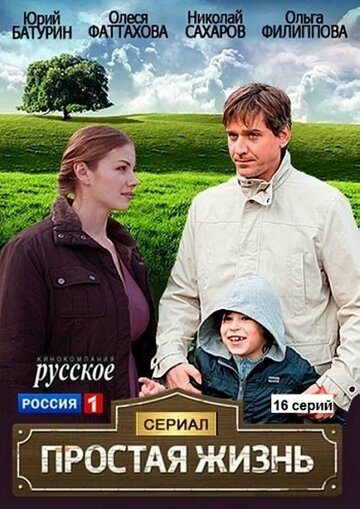 Постер к сериалу Простая жизнь (2013)
