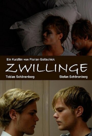 Постер к фильму Близнецы (2010)