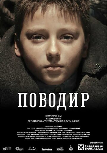 Постер к фильму Поводырь (2013)