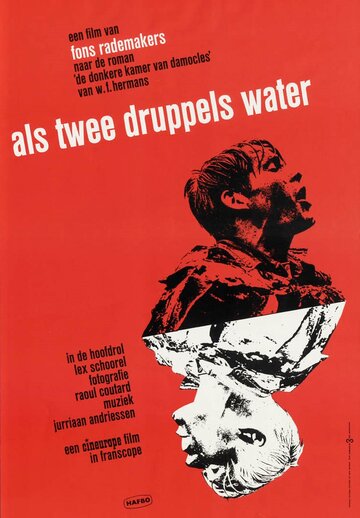 Постер к фильму Как две капли воды (1963)