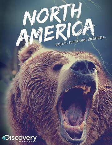 Постер к сериалу Discovery: Северная Америка (2013)