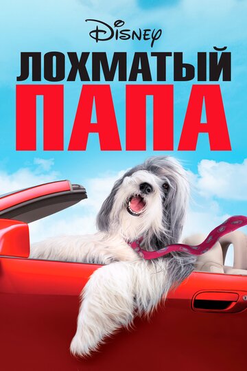 Постер к фильму Лохматый папа (2006)