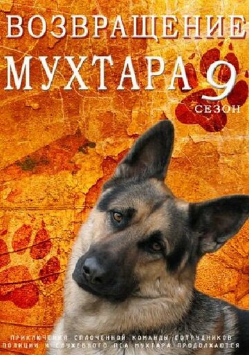 Постер к сериалу Возвращение Мухтара 9 (2013)
