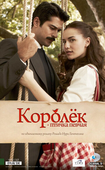 Постер к сериалу Королек - птичка певчая (2013)