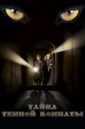 Постер к фильму Тайна темной комнаты (2014)