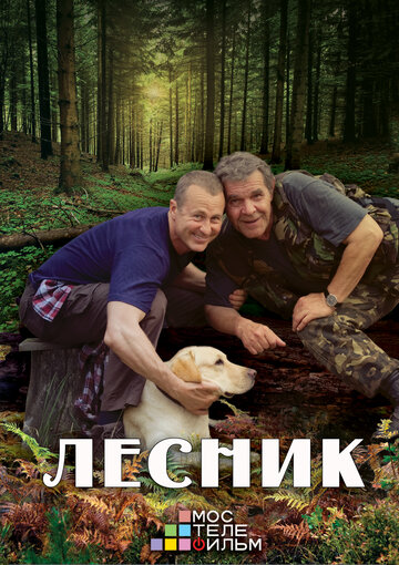 Постер к сериалу Лесник 3 (2015)